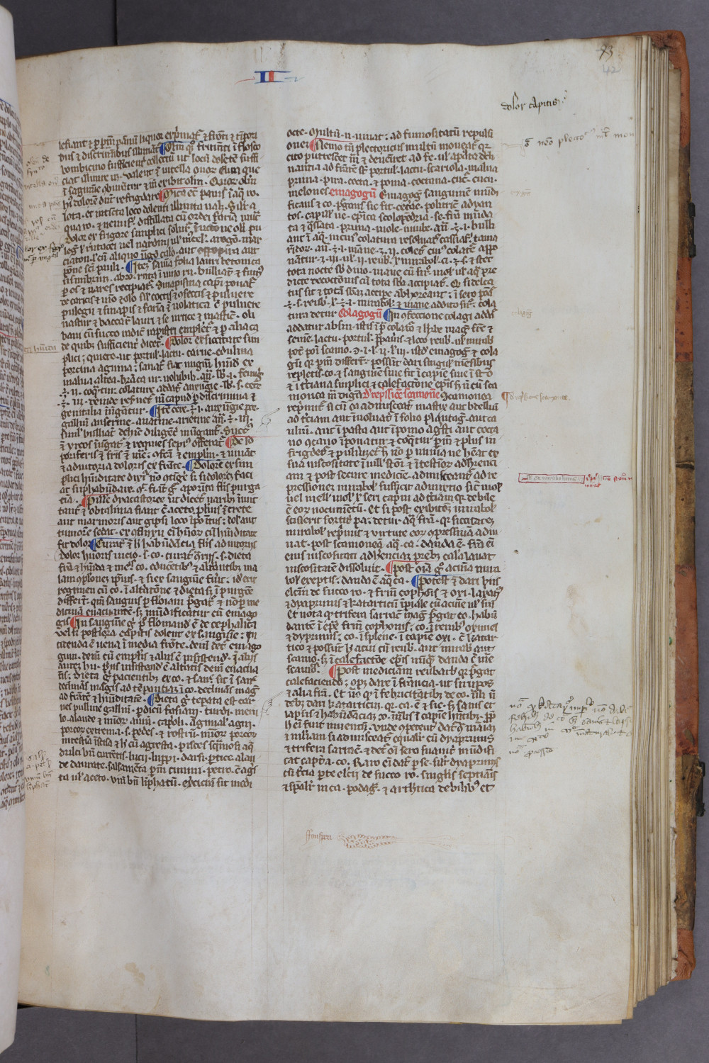 Folio 42 recto